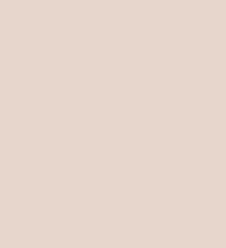 Rawelle Concealer Foundation Stick