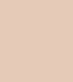 Rawelle Concealer Foundation Stick