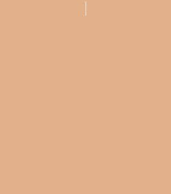 Rawelle Concealer Foundation Stick